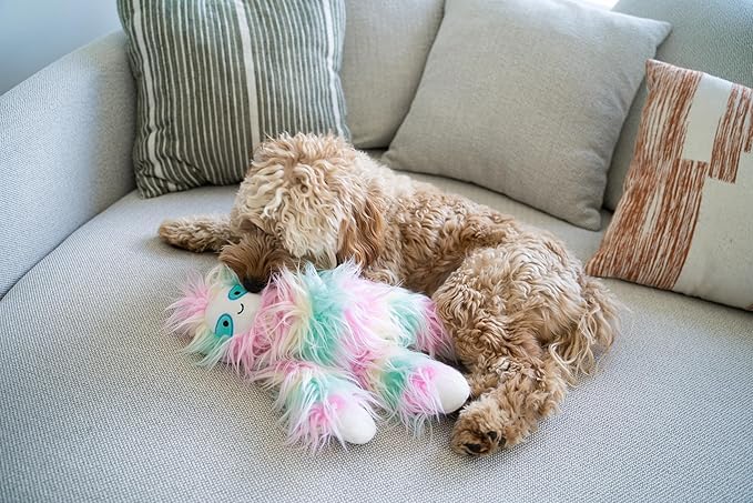 Flourish Pets 3 in 1 Multi-Layer Chew Toy for Active Dogs | Non-Toxic BPA Free Double Stitched Soft Fabric Exterior Dog Toys | Long-Lasting Dog Plush Toys – Sloth Large 5"