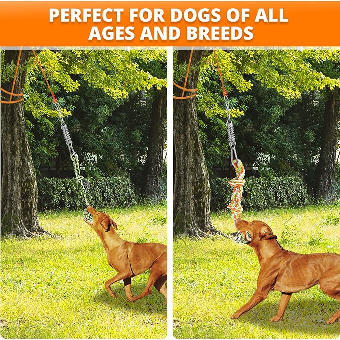 Spring Pole Rope Toys: Rope Pull & Tug of War with a Big Spring Pole Kit & 2 Strong 16ft Toys - Muscle Builder Interactive Toy for Pitbull Medium to Large Dog