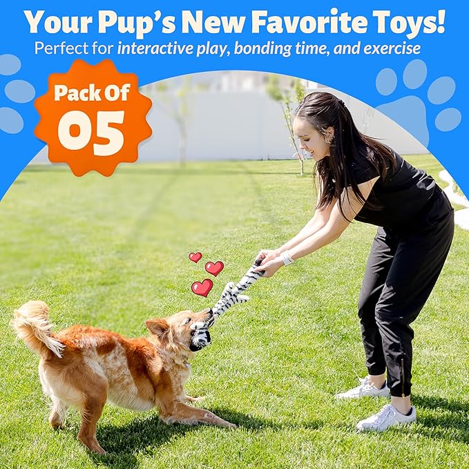 Squeaky No Stuffing Dog Toy Set – New & Improved Edition Plush Crinkle Dog Toys for Small, Medium & Large Breeds – Soft Tough Stuffless Puppy Chew Squeak Animal Supports Pet Health & Well Being 5 Pack