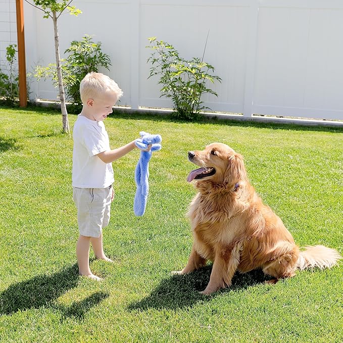 Squeaky No Stuffing Dog Toy Set – New & Improved Edition Plush Crinkle Dog Toys for Small, Medium & Large Breeds – Soft Tough Stuffless Puppy Chew Squeak Animal Supports Pet Health & Well Being 5 Pack